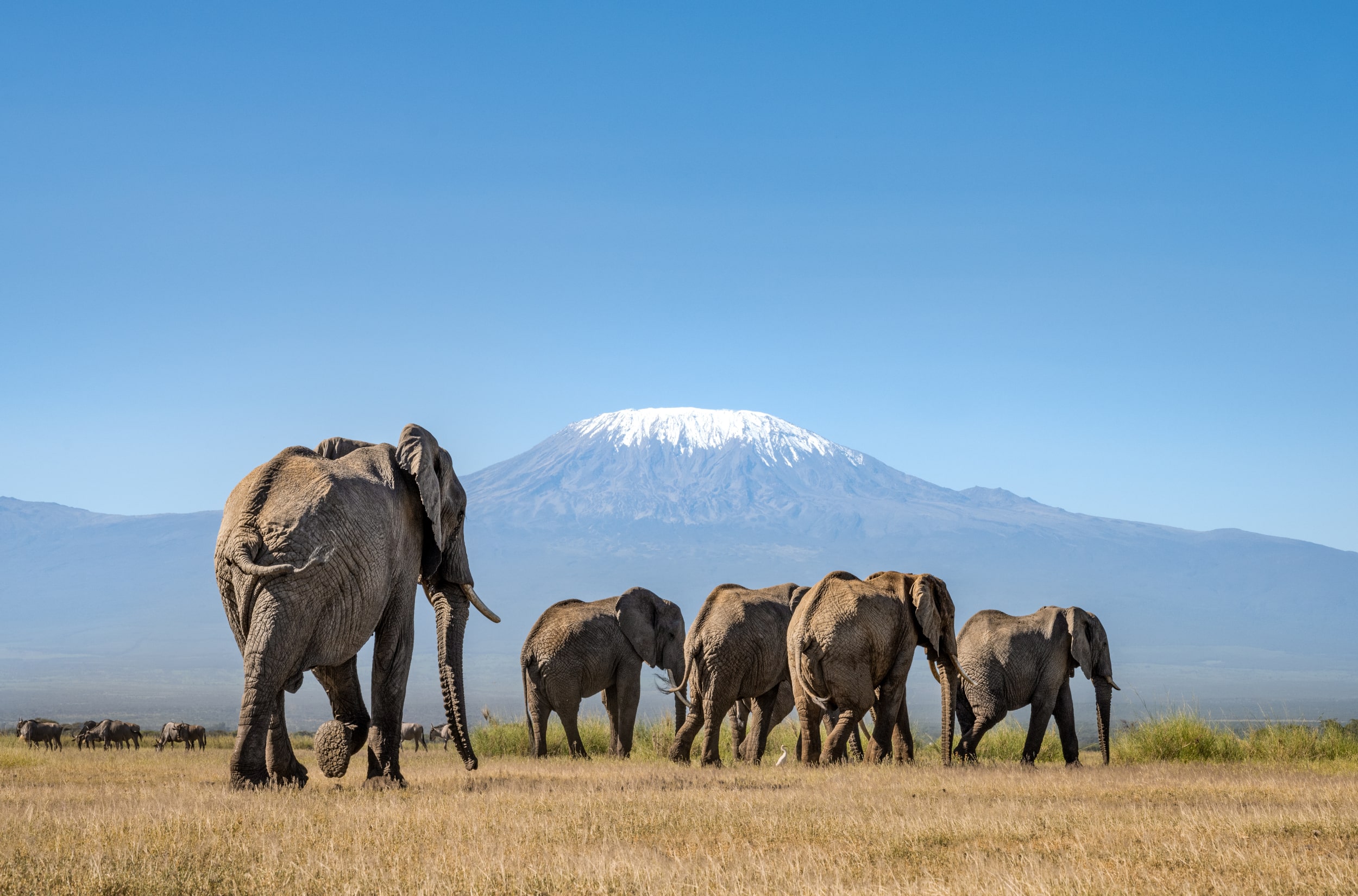 7-Day Kenya Classic Safari